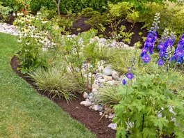 Clever Uses of Drain Clearing Service Near Me to Keep Sod Healthy drain clearing service near me