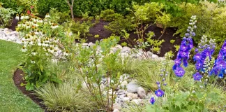 Clever Uses of Drain Clearing Service Near Me to Keep Sod Healthy drain clearing service near me