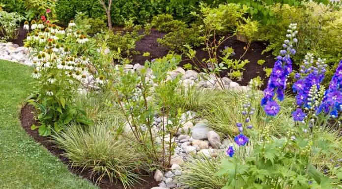 Clever Uses of Drain Clearing Service Near Me to Keep Sod Healthy drain clearing service near me