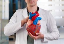 What Facilities Should Patients Look for in a Heart Hospital in Raipur? heart hospital in Raipur